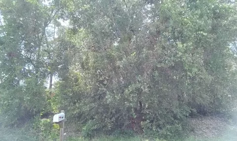 00000 SE 98th Ter, Summerfield, FL 34491