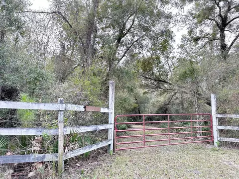 Wilford Street, Webster, FL 33597