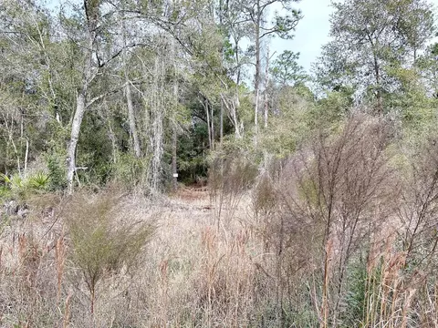 Grindstone Drive, Webster, FL 33597