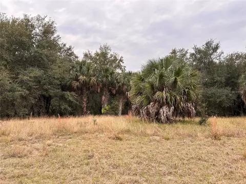 Palm Avenue, Leesburg, FL 34788