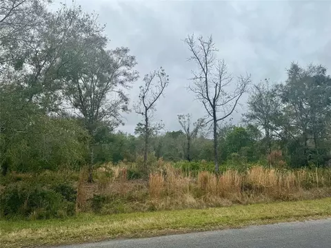 00 Edgerton Ave, Orlando, FL 32833