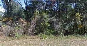 NE 36th Avenue, Citra, FL 32113