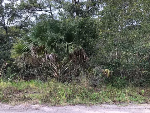 Arapaho, Geneva, FL 32732