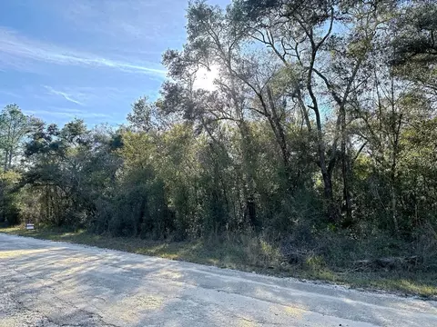 Plymouth Rock Drive, Webster, FL 33597