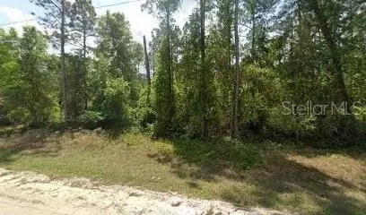 217 Plumosa Dr, Georgetown, FL 32139