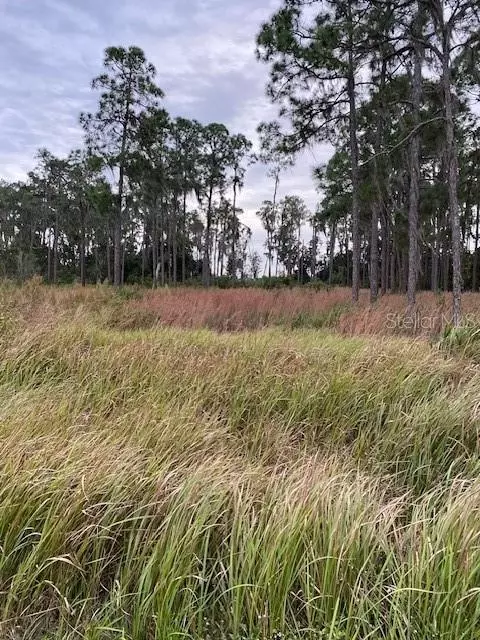 3025 Hawks Landing Cir, Sebring, FL 33875