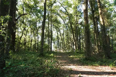 000000000 NW 175th Pl, High Springs, FL 32643