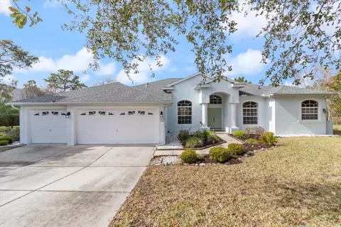 11 Dahlia Ct N, Homosassa, FL 34446