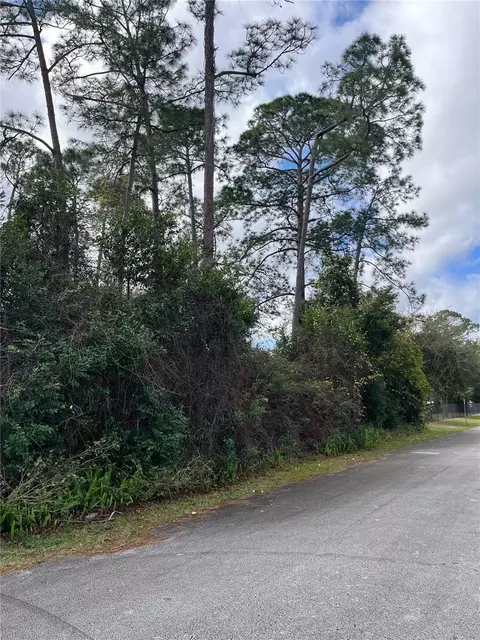 309 Alemander Ave, Debary, FL 32713