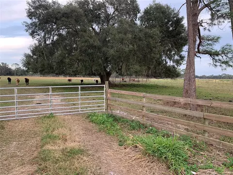 tbd Cr 469, Center Hill, FL 33514