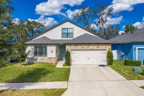 11220 Paddock Manor Ave, Riverview, FL 33569