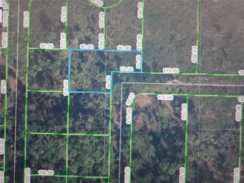 4801 Palm Rd, Sebring, FL 33875