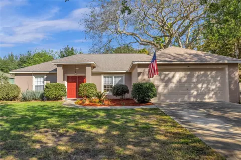 196 W Cypress Ave, Howey In The Hills, FL 34737