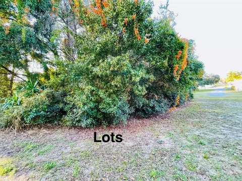 Portland Street, Eustis, FL 32726