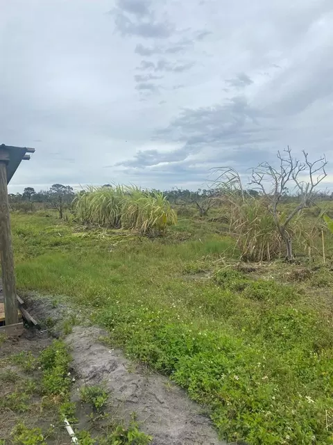 Sears Rd, Labelle, FL 33935