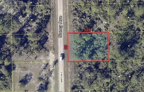 243 Nancy Ave S, Lehigh Acres, FL 33974