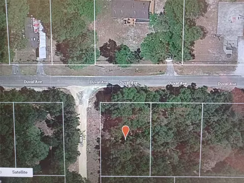 Tbd Duval Avenue, Interlachen, FL 32148