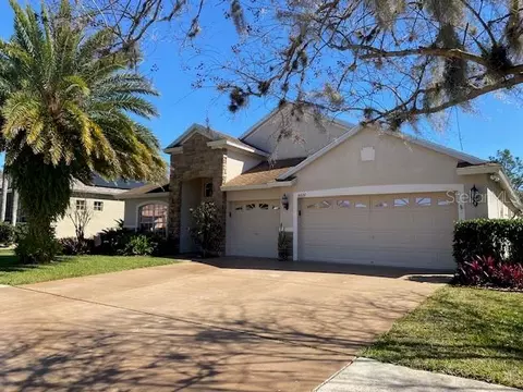 4624 Braesgate Ct, Land O Lakes, FL 34639