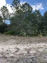 6599 N Airmont Dr, Citrus Springs, FL 34433