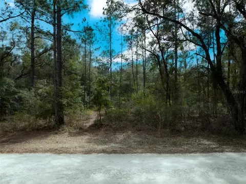 Lot 2 Rosehill Drive, Webster, FL 33597