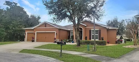 703 Fringe Tree Ct, Deland, FL 32724