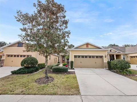 21642 Belgian Ct, Mount Dora, FL 32757