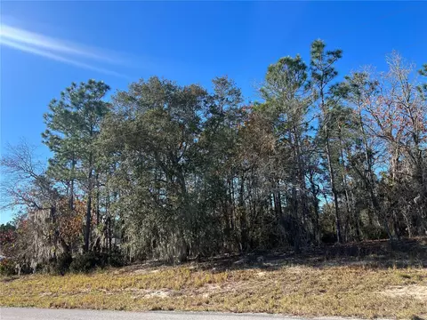 undetermined, Ocala, FL 34473