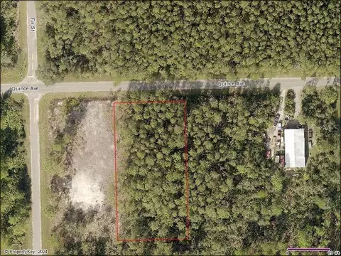 Quince Avenue, Eustis, FL 32736