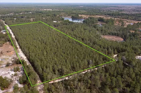 Piney Acres Trail, Paisley, FL 32767