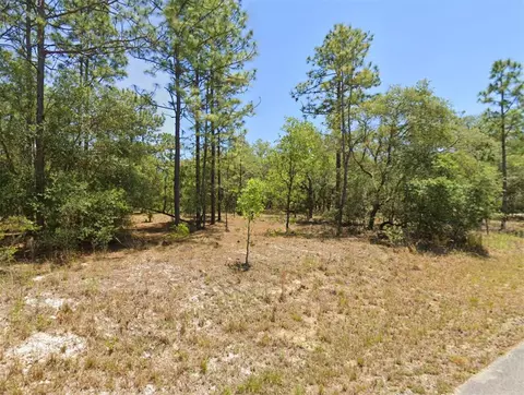Lot 26 SW Wood Road, Dunnellon, FL 34431