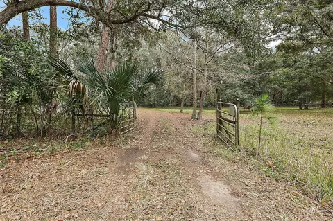 19351 Dorrwood Ln, Altoona, FL 32702