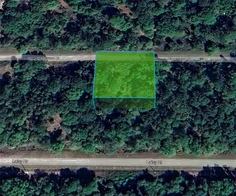 113 W Edgewood Dr, Georgetown, FL 32139