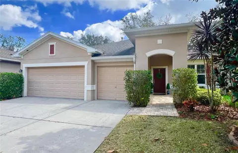 16005 Courtside View Dr, Lithia, FL 33547