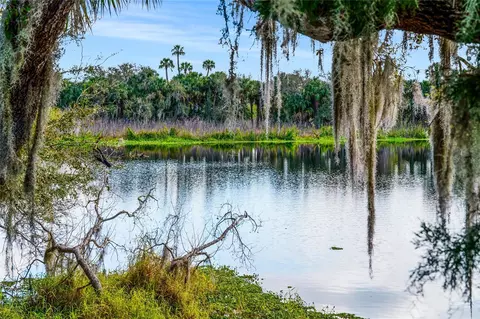 Undisclosed, Osteen, FL 32764