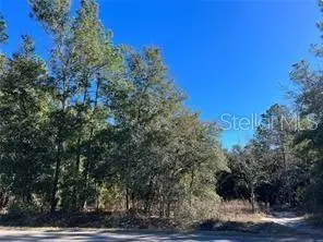 60 Guava Pass, Ocklawaha, FL 32179