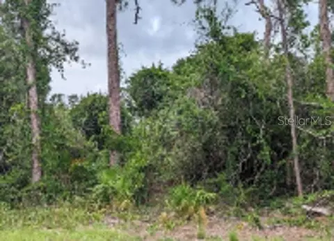 Lavender Avenue, North Port, FL 34288