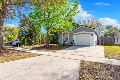 9812 Violet Dr, Orlando, FL 32824