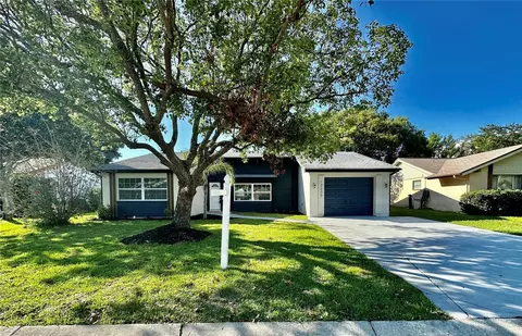 12209 Buttonwood Row, Hudson, FL 34667