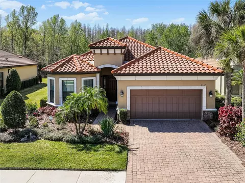 8537 Grand Alberato Rd, Tampa, FL 33647