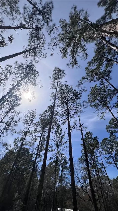 4110 Melanie, Hastings, FL 32145