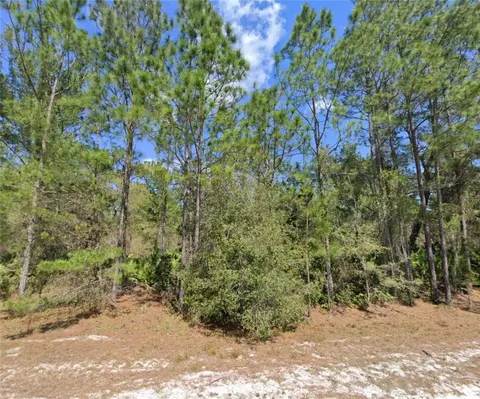 410 Carteret Rd, Georgetown, FL 32139