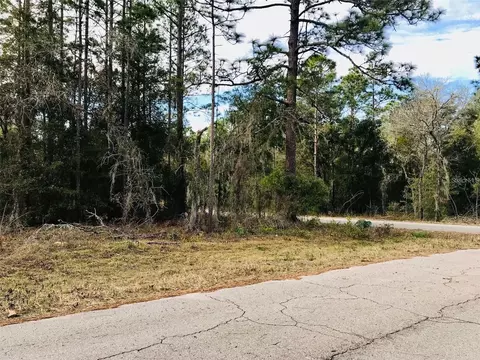 tbd NE 15th St, Williston, FL 32696