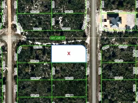 46 Marshall Ave, Lake Placid, FL 33852