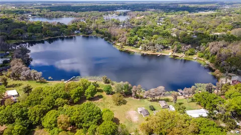 16932 Parsonage Lake Ln, Odessa, FL 33556
