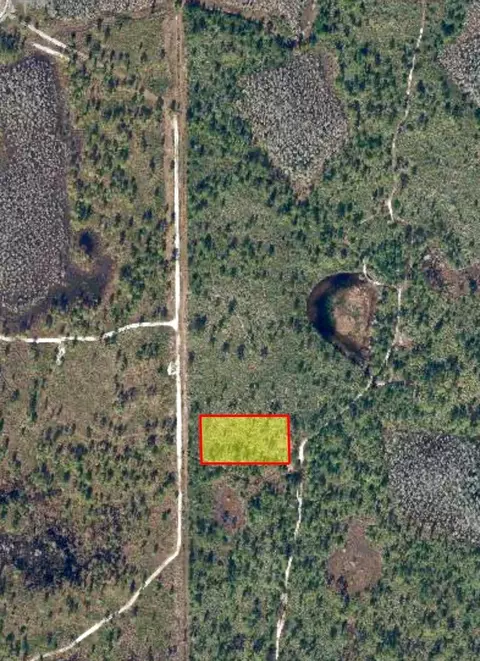 729 Dill Rd, Orlando, FL 32820