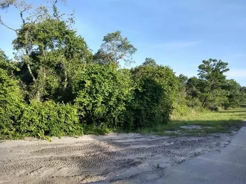 tbd Sequoia Trail Trak, Ocklawaha, FL 32179