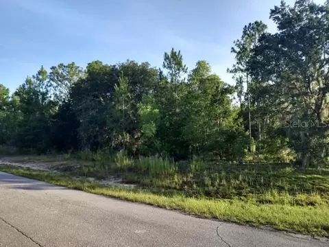 Tbd Sw 152nd Terrace, Ocala, FL 32179