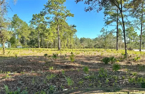 Apricot Avenue, Eustis, FL 32736