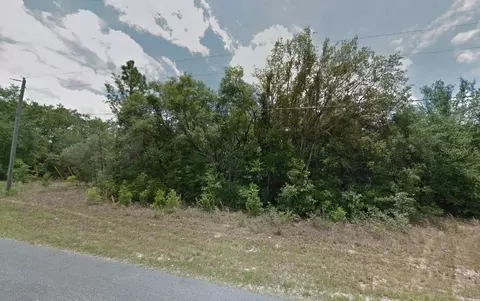 1308 W Lorraine Dr, Citrus Springs, FL 34434