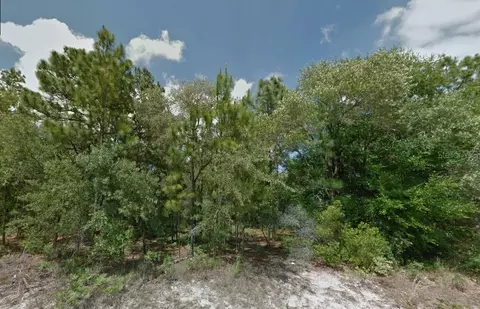 2051 W Roseboro Dr, Citrus Springs, FL 34434